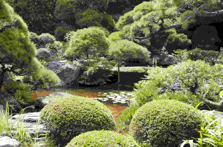 庭のこだわり